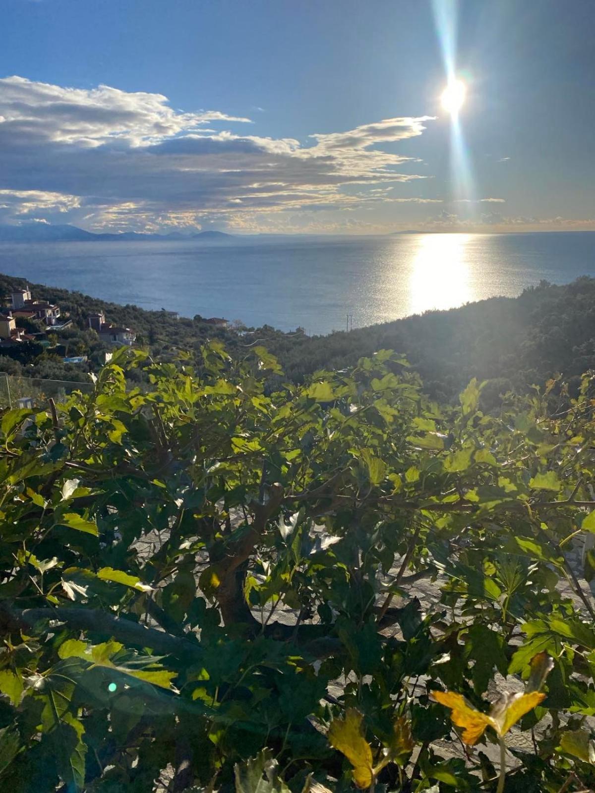 Apollo Romantic Sea View Villa Kivérion Esterno foto